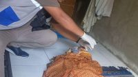 Foto: Tim medis melakukan penanganan seorang pria yang meninggal dunia secara wajar di kawasan Pasar UKA, Kecamatan Benowo, Surabaya.