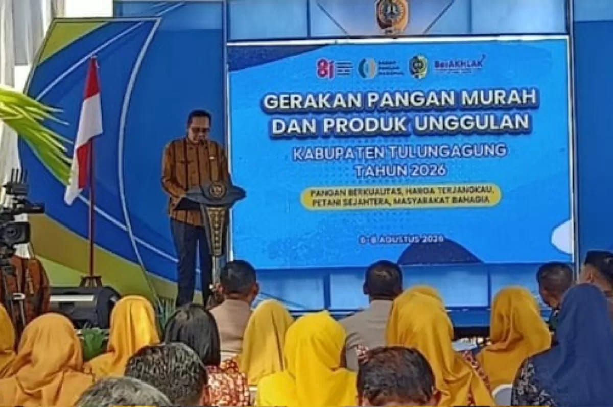 IMG 20260811 WA0096