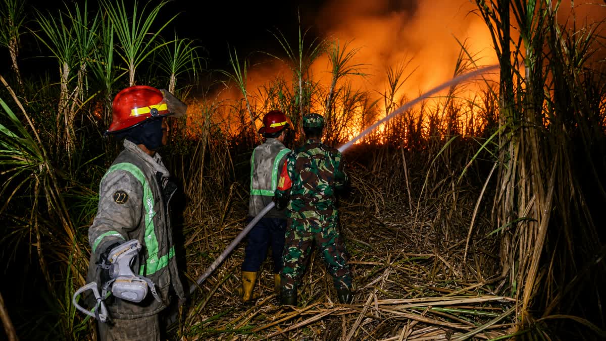 Foto: Babinsa dan petugas Damkar memadamkan kebakaran lahan tebu seluas 3,5 hektare di Desa Gunungsari, Kabupaten Madiun