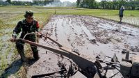 Foto: Babinsa Desa Kedondong Sertu Aman mendampingi petani membajak sawah di Dusun Kandangan, Kabupaten Madiun.