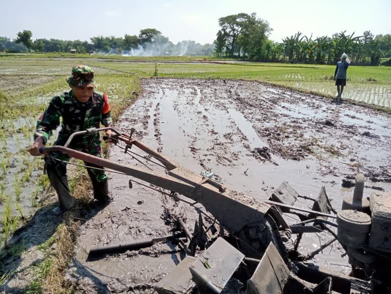 Foto: Babinsa Desa Kedondong Sertu Aman mendampingi petani membajak sawah di Dusun Kandangan, Kabupaten Madiun.
