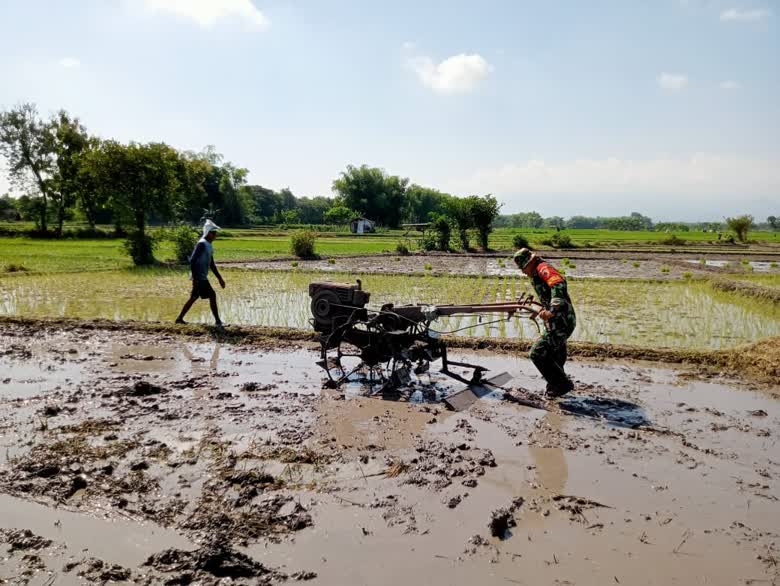 Foto: Babinsa Desa Kedondong Sertu Aman mendampingi petani membajak sawah di Dusun Kandangan, Kabupaten Madiun.