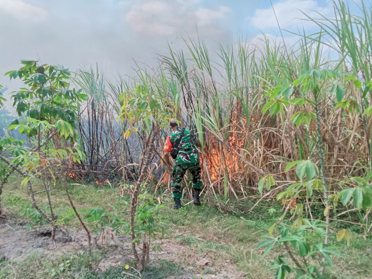 Foto: Petugas Koramil bersama warga melakukan pemadaman kebakaran lahan perkebunan tebu di Kecamatan Dagangan, Kabupaten Madiun