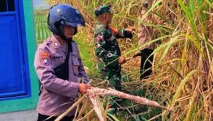 Foto: Petugas Koramil bersama warga melakukan pemadaman kebakaran lahan perkebunan tebu di Kecamatan Dagangan, Kabupaten Madiun