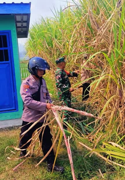 Foto: Petugas Koramil bersama warga melakukan pemadaman kebakaran lahan perkebunan tebu di Kecamatan Dagangan, Kabupaten Madiun