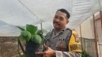 Foto: Aiptu Sugeng Priyanto mengelola tanaman hortikultura dan budidaya ikan nila di Desa Nglambangan, Kabupaten Madiun.