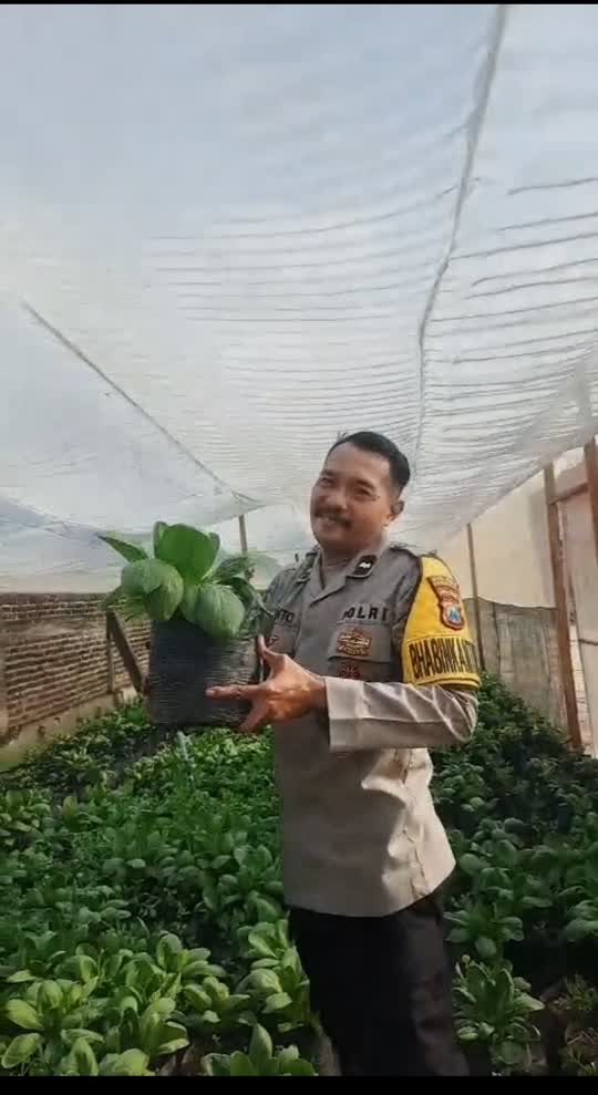 Foto: Aiptu Sugeng Priyanto mengelola tanaman hortikultura dan budidaya ikan nila di Desa Nglambangan, Kabupaten Madiun.