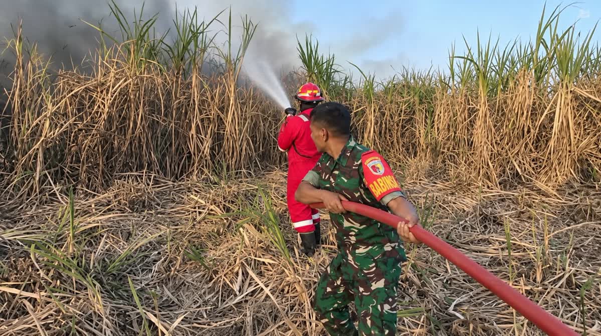 Foto: Babinsa dan Damkar memadamkan kebakaran lahan tebu di Winongo Kota Madiun