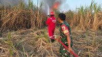 Foto: Babinsa dan Damkar memadamkan kebakaran lahan tebu di Winongo Kota Madiun