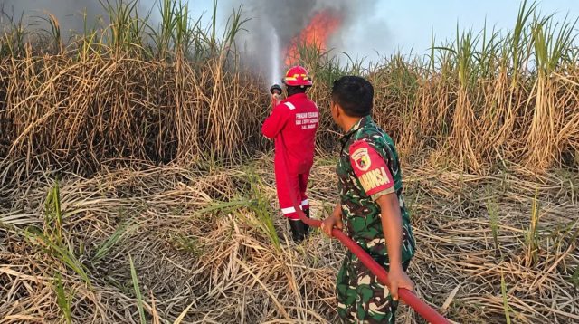 Foto: Babinsa dan Damkar memadamkan kebakaran lahan tebu di Winongo Kota Madiun