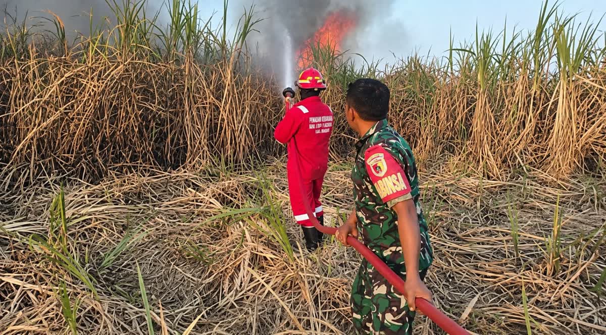 Foto: Babinsa dan Damkar memadamkan kebakaran lahan tebu di Winongo Kota Madiun