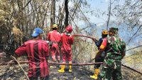Foto: Babinsa dan petugas Damkar memadamkan kebakaran lahan bambu di Nglames, Kabupaten Madiun