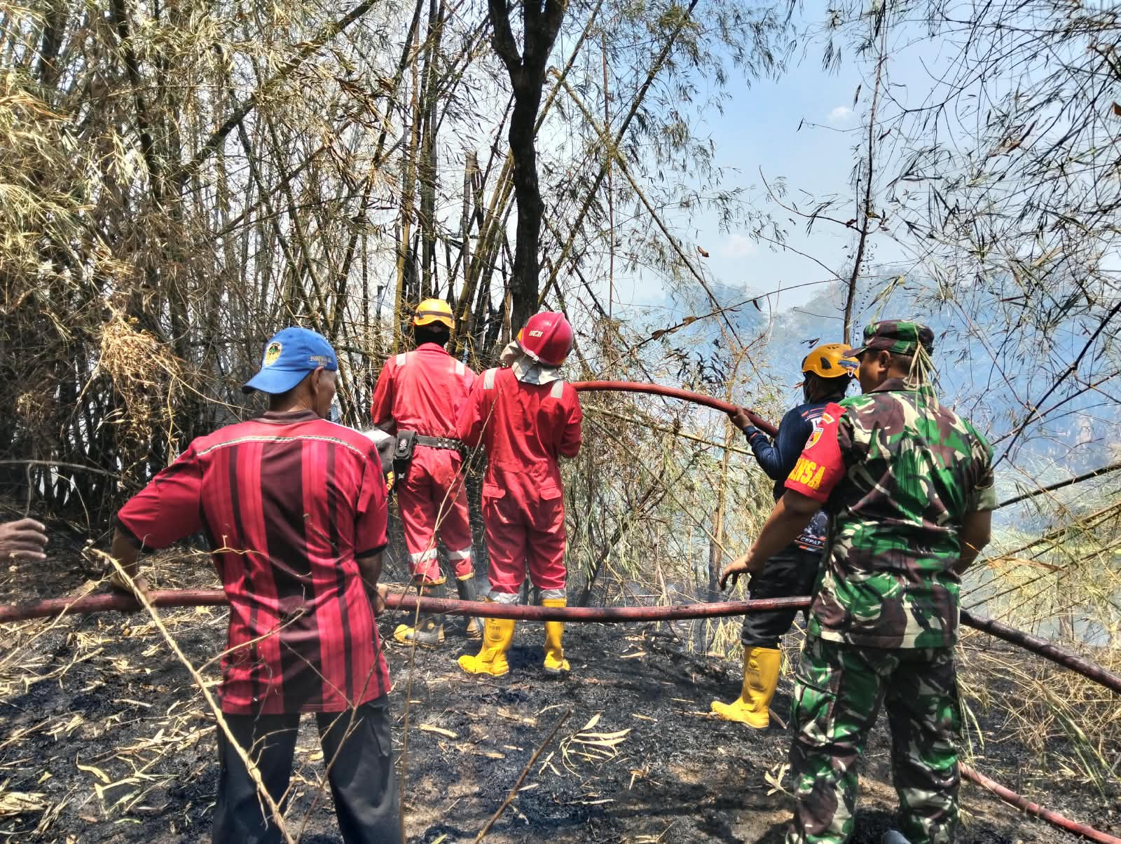 Foto: Babinsa dan petugas Damkar memadamkan kebakaran lahan bambu di Nglames, Kabupaten Madiun