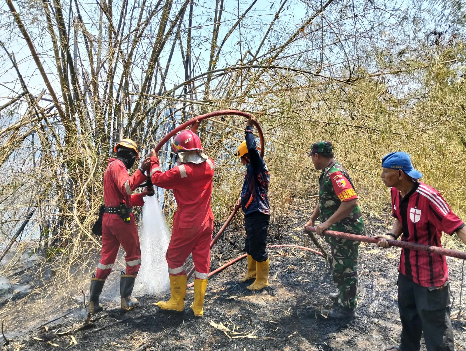 Foto: Babinsa dan petugas Damkar memadamkan kebakaran lahan bambu di Nglames, Kabupaten Madiun