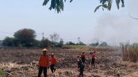 Foto: Kebakaran lahan tebu PG Redjo Agung di Desa Sambirejo, Kecamatan Jiwan, Kabupaten Madiun