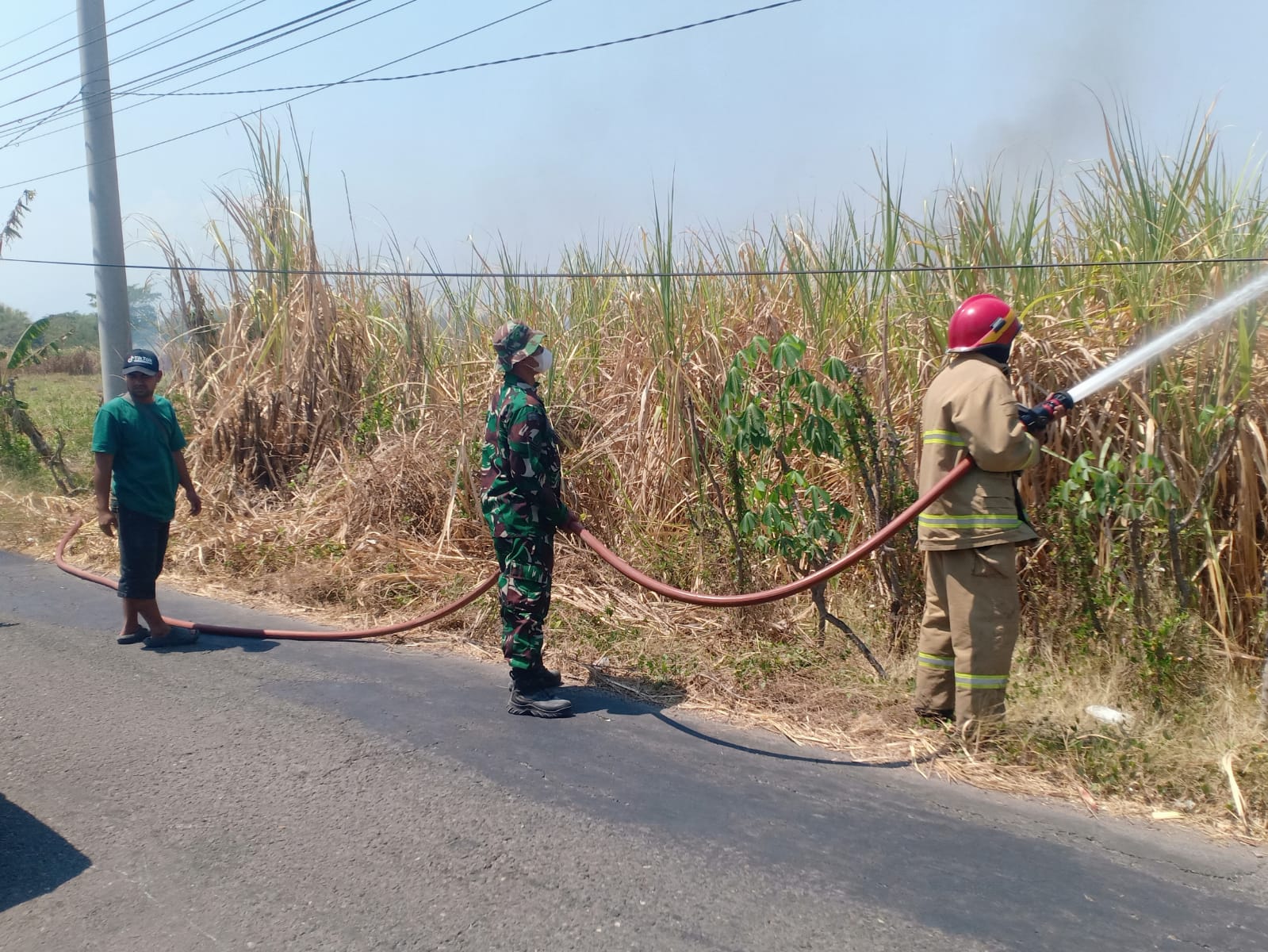 Foto: Kebakaran lahan tebu PG Redjo Agung di Desa Sambirejo, Kecamatan Jiwan, Kabupaten Madiun