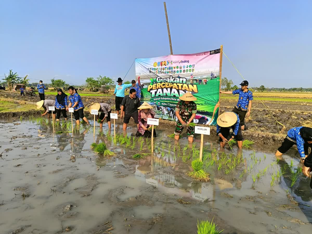 Foto: Gerakan Tanam Padi Serentak Polsek Jiwan bersama kelompok tani di Kincang Wetan Kabupaten Madiun