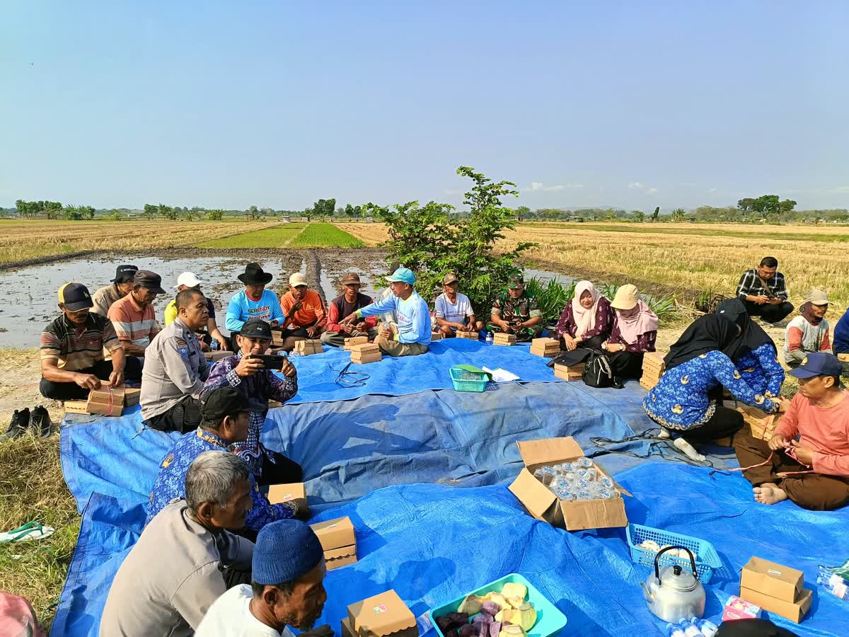 Foto: Gerakan Tanam Padi Serentak Polsek Jiwan bersama kelompok tani di Kincang Wetan Kabupaten Madiun