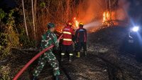 Foto: Petugas BPBD bersama Babinsa dan warga memadamkan kebakaran lahan bambu di Balerejo Kabupaten Madiun Foto: Petugas BPBD bersama Babinsa dan warga memadamkan kebakaran lahan bambu di Balerejo Kabupaten Madiun