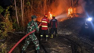 Foto: Petugas BPBD bersama Babinsa dan warga memadamkan kebakaran lahan bambu di Balerejo Kabupaten Madiun