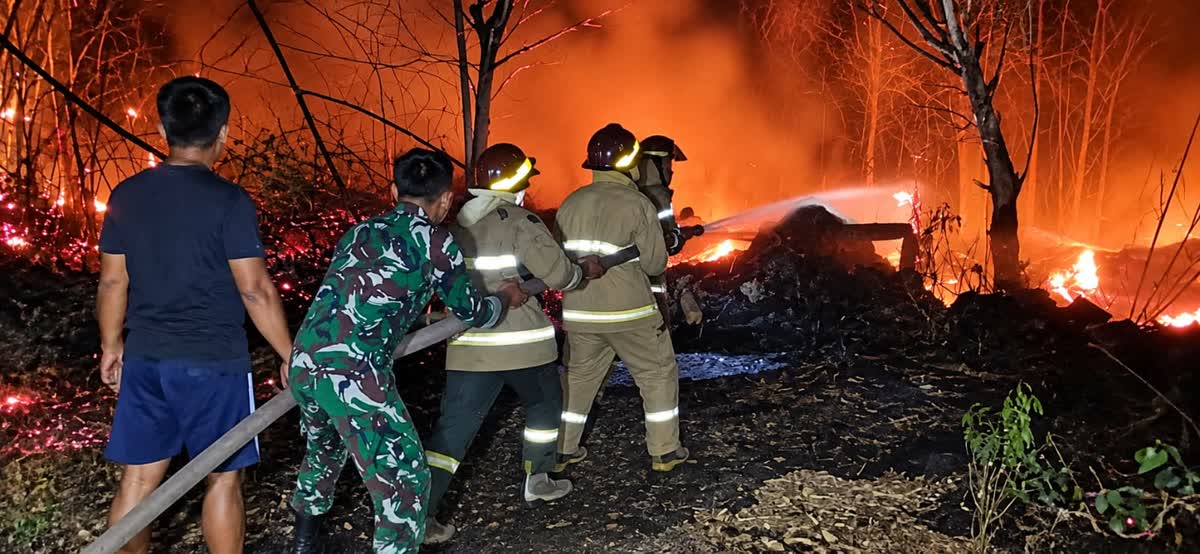 Foto: Petugas Damkar bersama TNI-Polri dan warga memadamkan kebakaran kebun jati di Dusun Basekan, Dagangan, Madiun