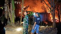 Foto: Petugas Damkar bersama TNI-Polri dan warga memadamkan kebakaran kebun jati di Dusun Basekan, Dagangan, Madiun