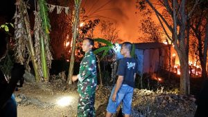 Foto: Petugas Damkar bersama TNI-Polri dan warga memadamkan kebakaran kebun jati di Dusun Basekan, Dagangan, Madiun