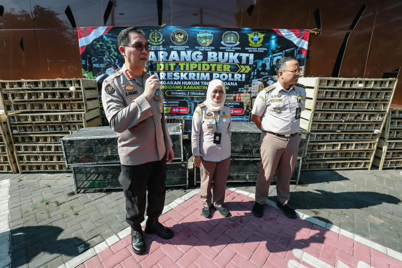 IMG 20261002 WA0032