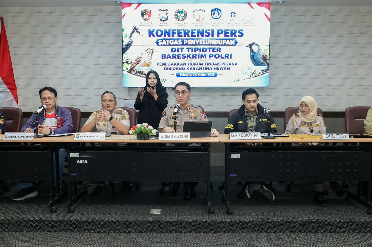 IMG 20261002 WA0033