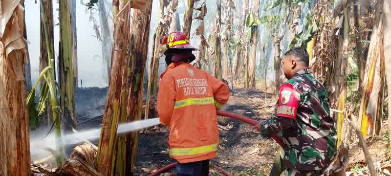 Foto: Petugas Damkar Kota Madiun memadamkan kebakaran lahan akibat pembakaran sampah di Kelurahan Josenan, Kecamatan Taman.