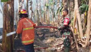 Foto: Petugas Damkar Kota Madiun memadamkan kebakaran lahan akibat pembakaran sampah di Kelurahan Josenan, Kecamatan Taman.