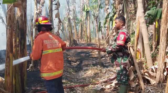 Foto: Petugas Damkar Kota Madiun memadamkan kebakaran lahan akibat pembakaran sampah di Kelurahan Josenan, Kecamatan Taman.