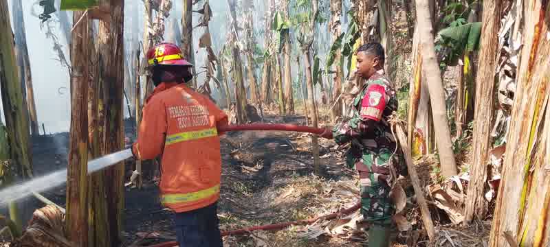 Foto: Petugas Damkar Kota Madiun memadamkan kebakaran lahan akibat pembakaran sampah di Kelurahan Josenan, Kecamatan Taman.