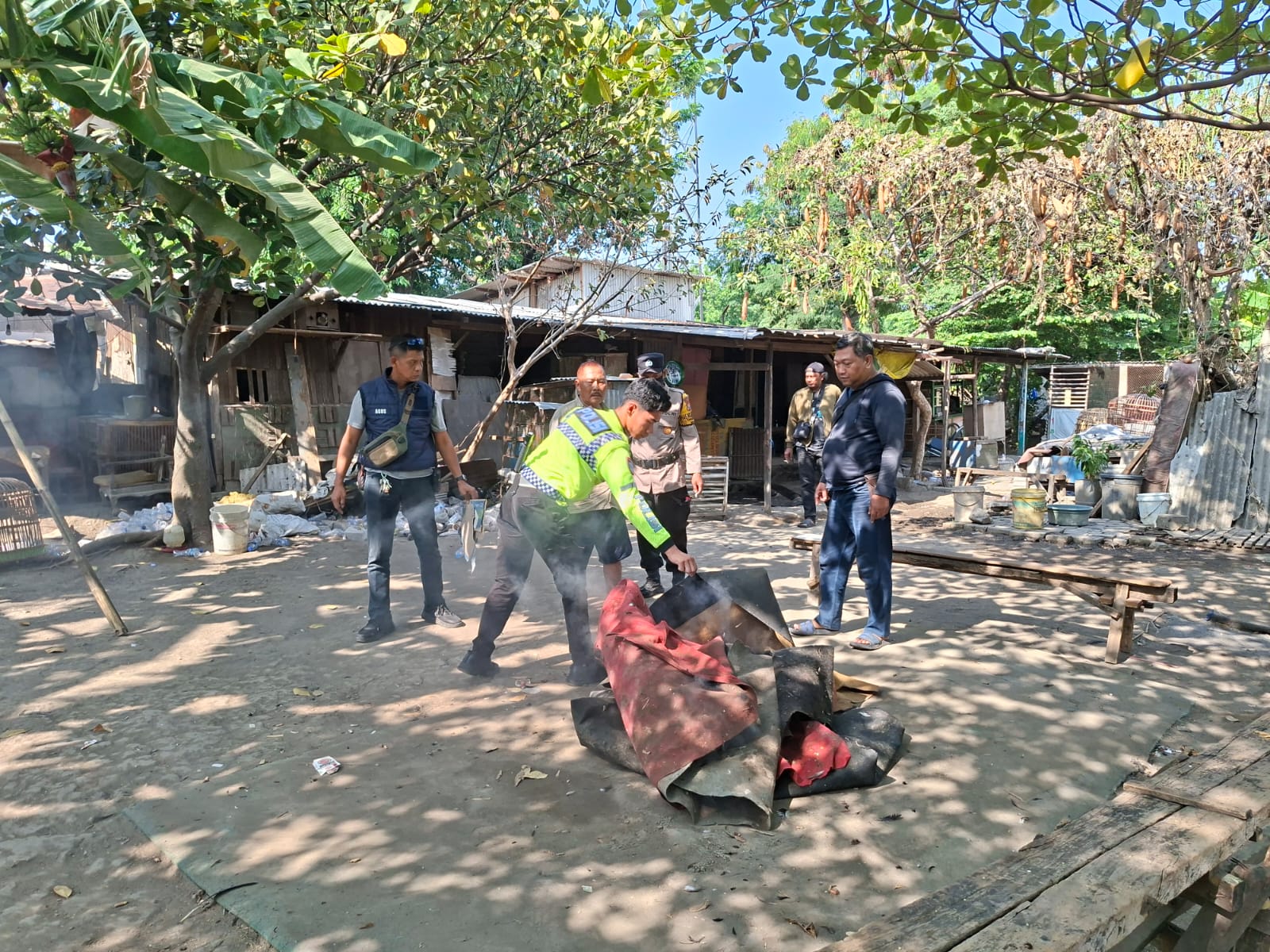 IMG 20261005 WA0031