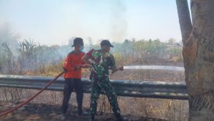 IMG 20261006 WA0035