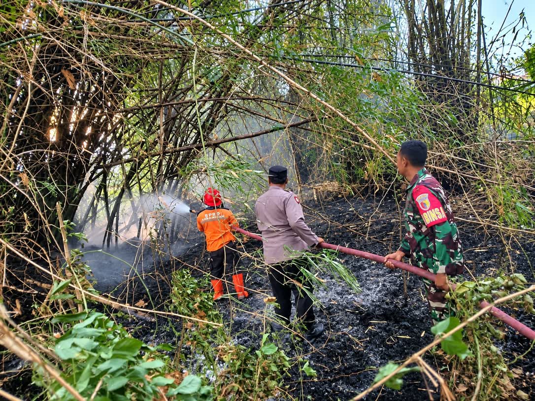 Foto: Petugas memadamkan kebakaran lahan di tanggul irigasi Desa Metesih, Kecamatan Jiwan, Kabupaten Madiun