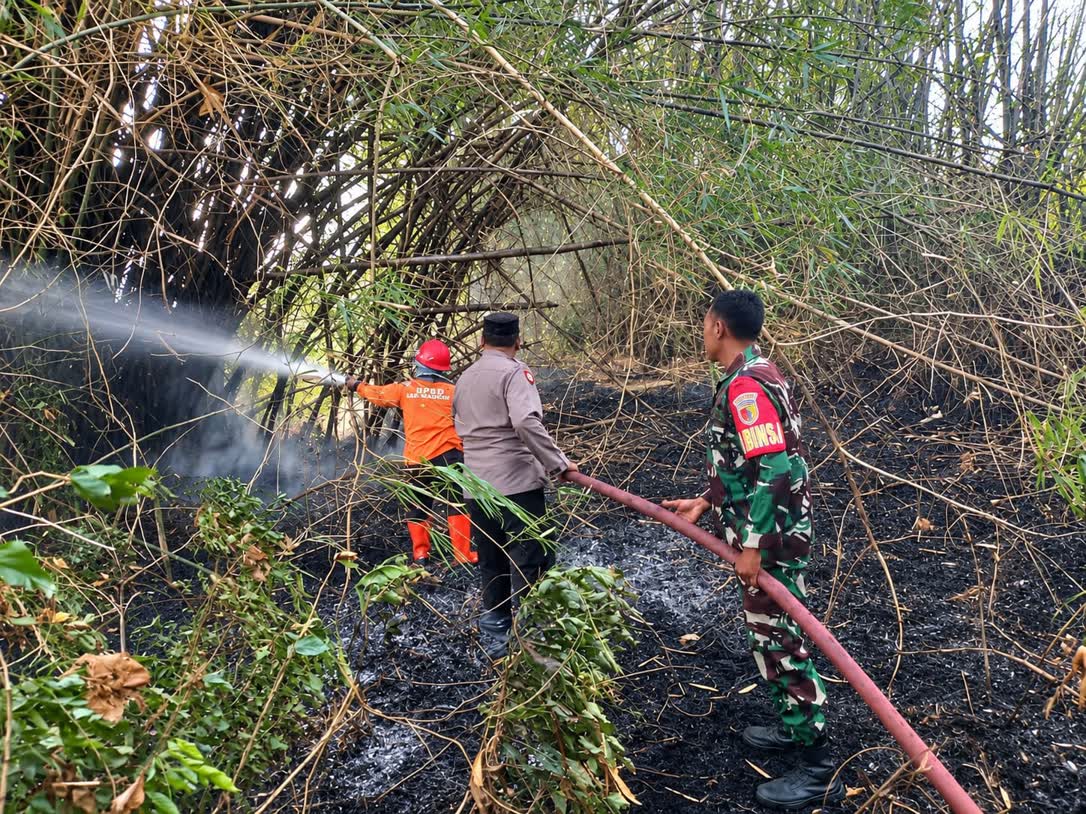 Foto: Petugas memadamkan kebakaran lahan di tanggul irigasi Desa Metesih, Kecamatan Jiwan, Kabupaten Madiun