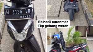 IMG 20261011 WA0023