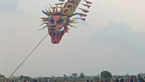 IMG 20261013 WA0005