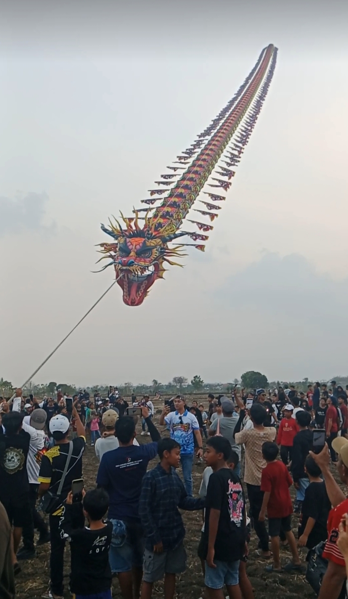 IMG 20261013 WA0005