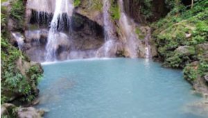 IMG 20261028 WA0012